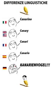 Differenze Linguistiche