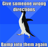 Socially Awkward Penguin