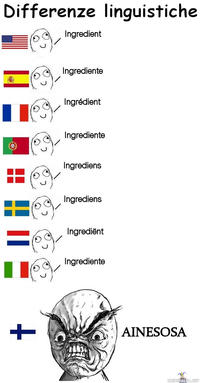 Differenze Linguistiche