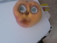 Things With Faces