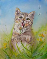 Cats