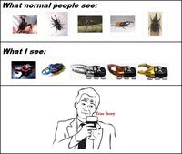 True Story