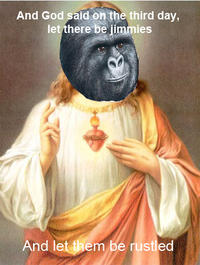 That Really Rustled My Jimmies