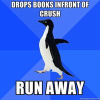 Socially Awkward Penguin