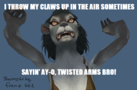 I Throw My Hands Up In The Air Sometimes Saying Ayo