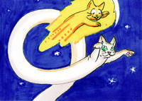 Speedycat