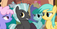Pony Reactions