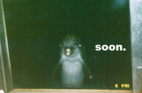 SOON