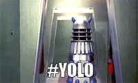 YOLO