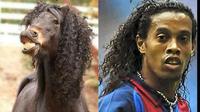 Totally Looks Like / Separated At Birth