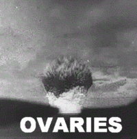 OVARIES