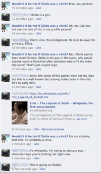 Link & Zelda Confusion / What if Zelda was a girl?