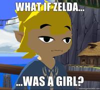 Link & Zelda Confusion / What if Zelda was a girl?