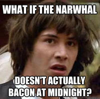 The Narwhal Bacons at Midnight