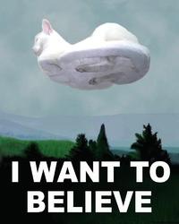 I Want to Believe