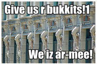 Lolrus