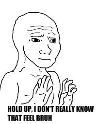I Know That Feel Bro