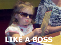Like A Boss