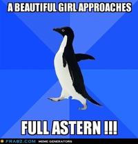 Socially Awkward Penguin