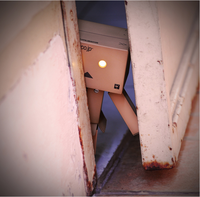 Danbo