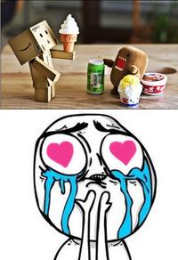 Cuteness Overload