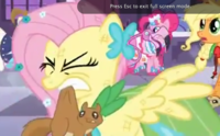 Flutterrage / Flutterbitch