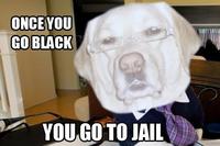 Lawyer Dog