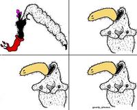 Dolan