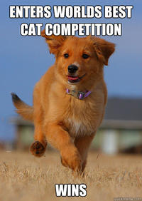 Ridiculously Photogenic Guy / Zeddie Little