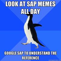 Socially Awkward Penguin