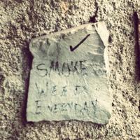 Smoke Weed Everyday