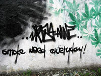 Smoke Weed Everyday