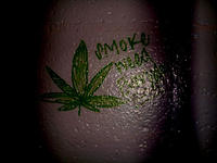 Smoke Weed Everyday
