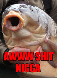 Image Macros