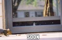 SOON