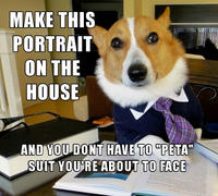 Lawyer Dog