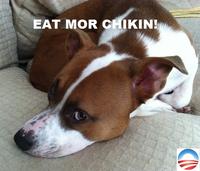 Obama the Eater of Dogs