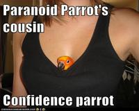 Paranoid Parrot