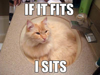 If It Fits I Sits