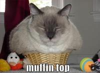If It Fits I Sits