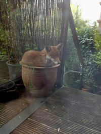 If It Fits I Sits