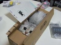 If It Fits I Sits