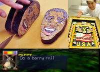 Do A Barrel Roll