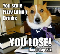 Lawyer Dog