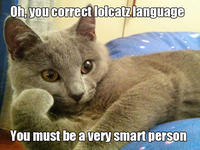 Willy Wonkat