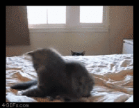 Filename Threads