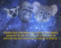 That Really Rustled My Jimmies