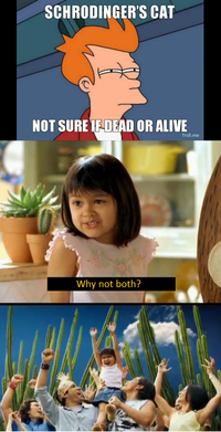 Why Not Both? / Why Don't We Have Both?