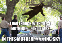 Falling Bear