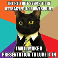 Business Cat